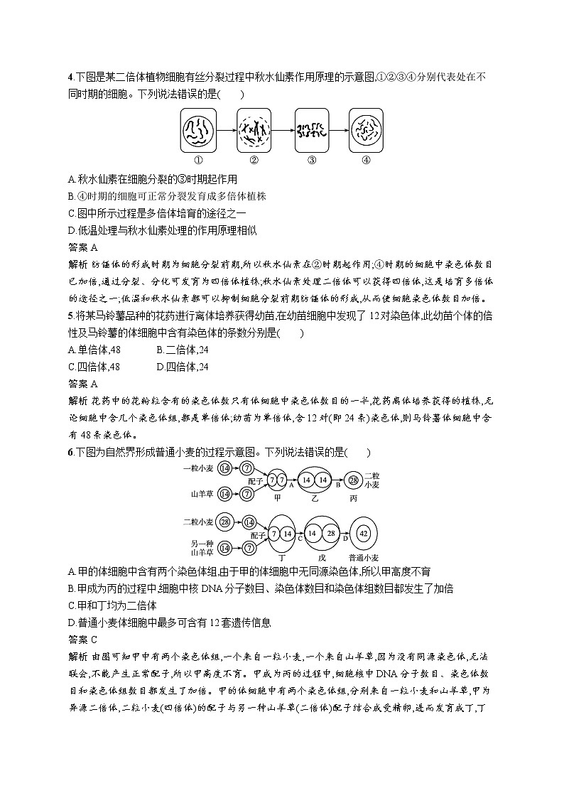 第2节　染色体变异 试卷02