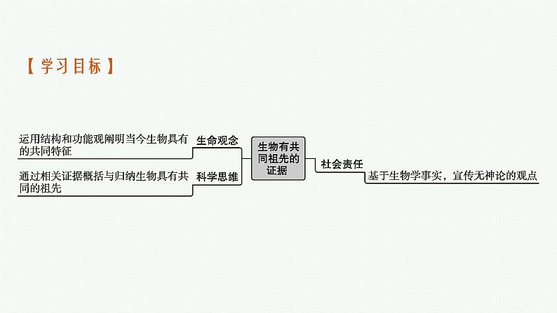 第1节　生物有共同祖先的证据课件PPT第3页