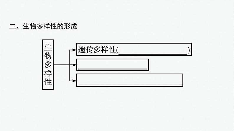 第4节　协同进化与生物多样性的形成课件PPT第6页