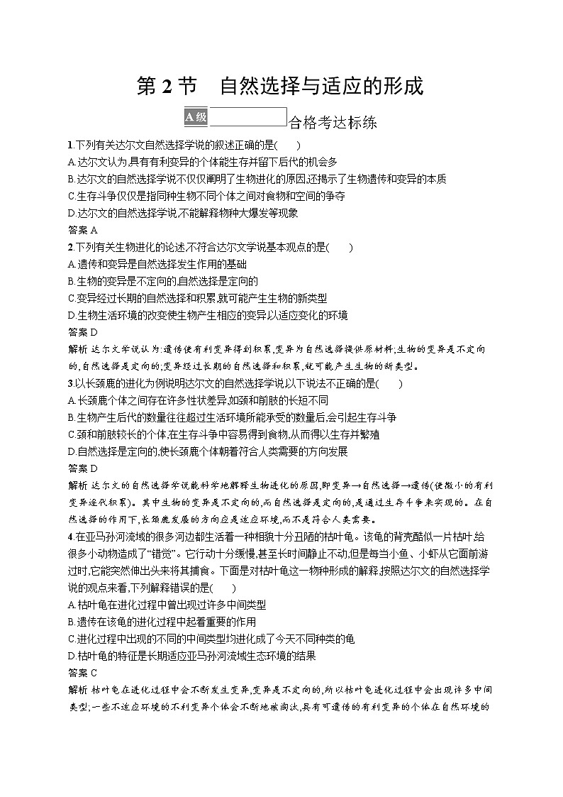 第2节　自然选择与适应的形成 试卷01