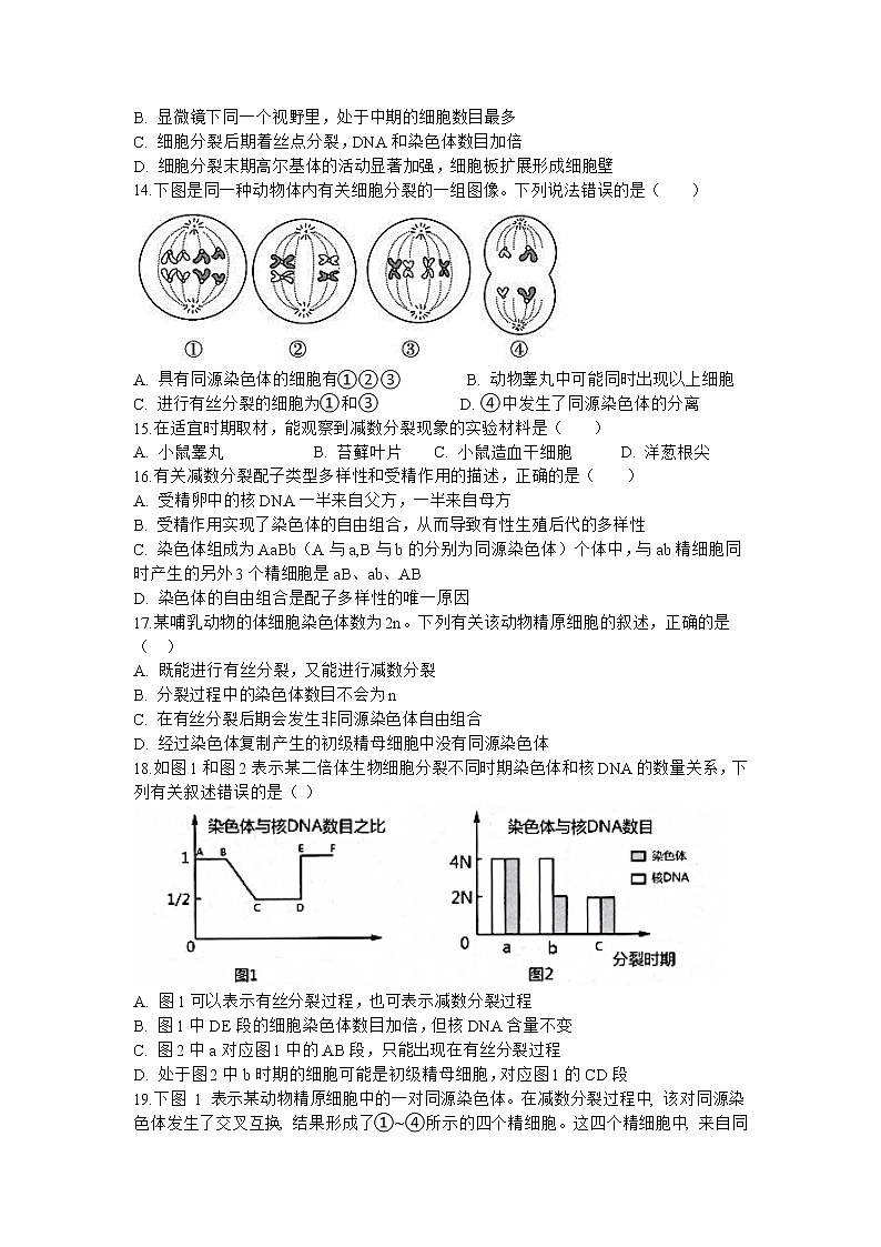 四川省眉山市仁寿县铧强中学2022-2023学年高一生物下学期3月月考试题（Word版附答案）第3页