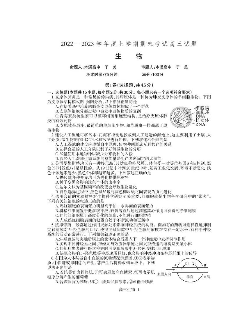2022-2023学年辽宁省辽南协作校高三上学期期末考试生物PDF版含答案01