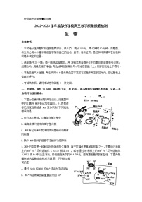 2022-2023学年山东省淄博市部分学校高三上学期12月摸底考试生物含答案