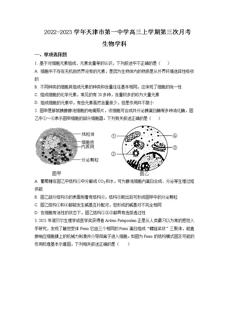 2022-2023学年天津市第一中学高三上学期第三次月考生物试题含答案第1页