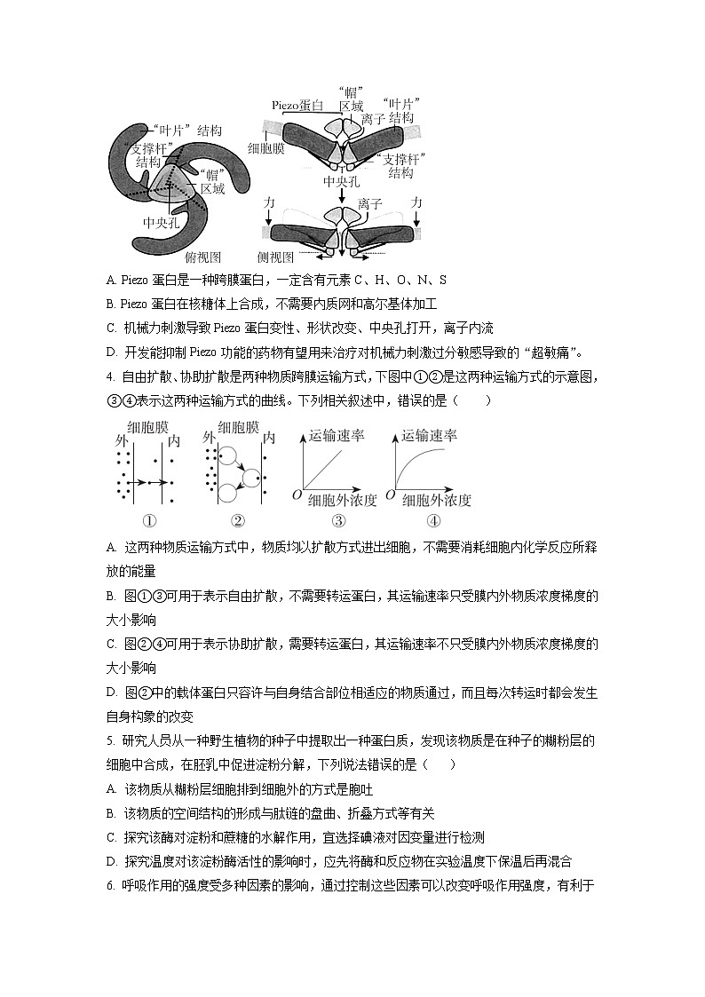 2022-2023学年天津市第一中学高三上学期第三次月考生物试题含答案第2页