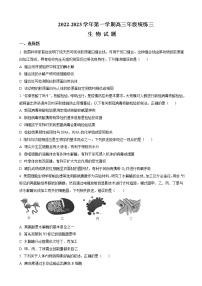 2022-2023学年宁夏银川市第二中学高三上学期统练（月考）三生物含解析