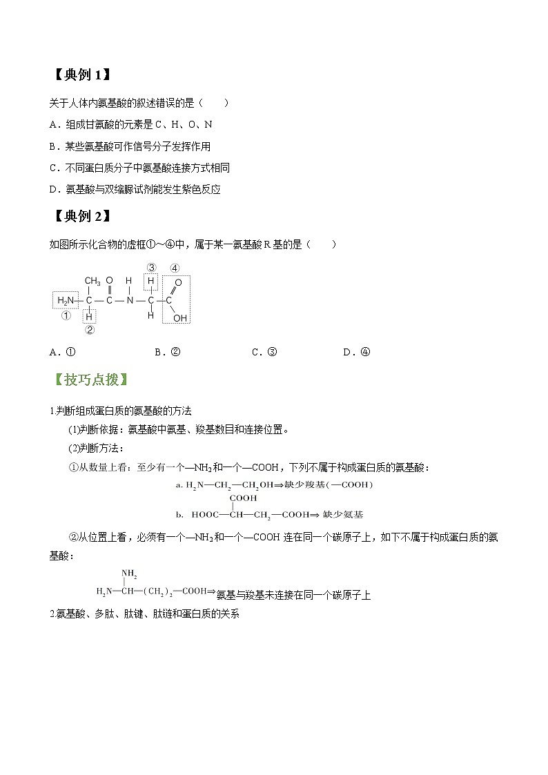 专题03 生命活动的主要承担者——蛋白质（学生版）第2页