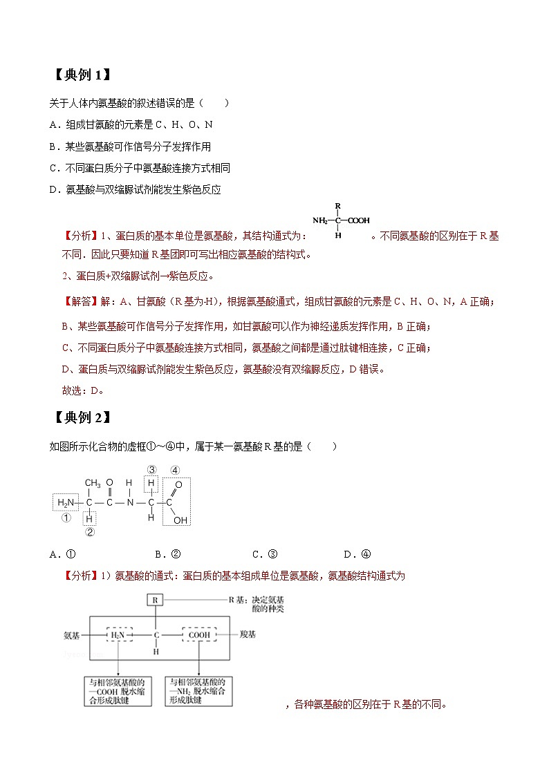 专题03 生命活动的主要承担者——蛋白质（教师版）第2页