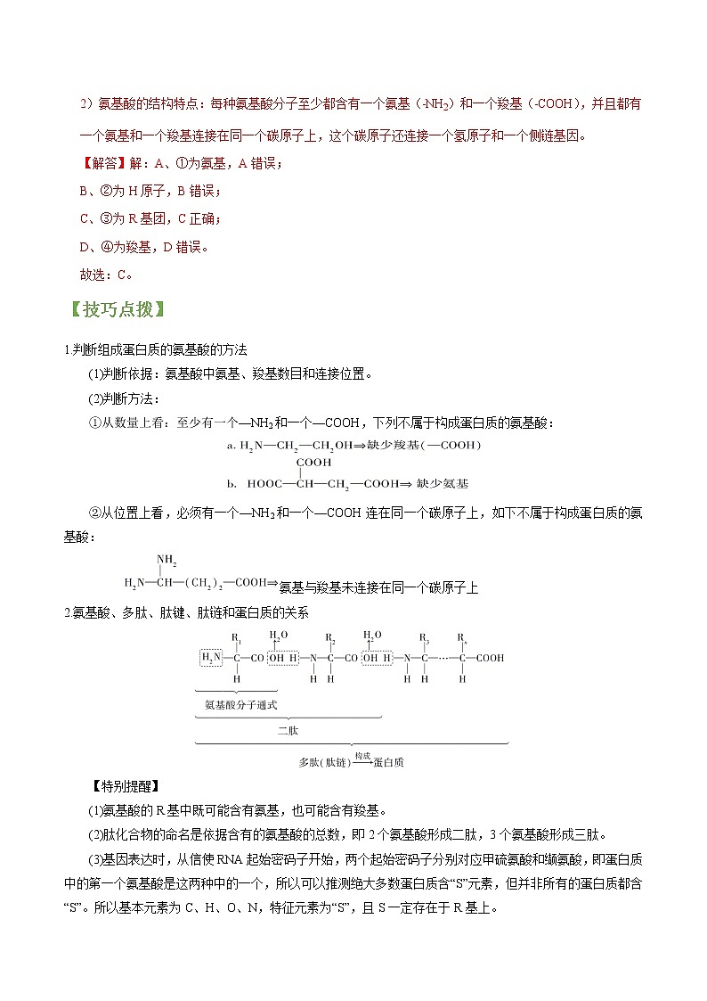 专题03 生命活动的主要承担者——蛋白质（教师版）第3页