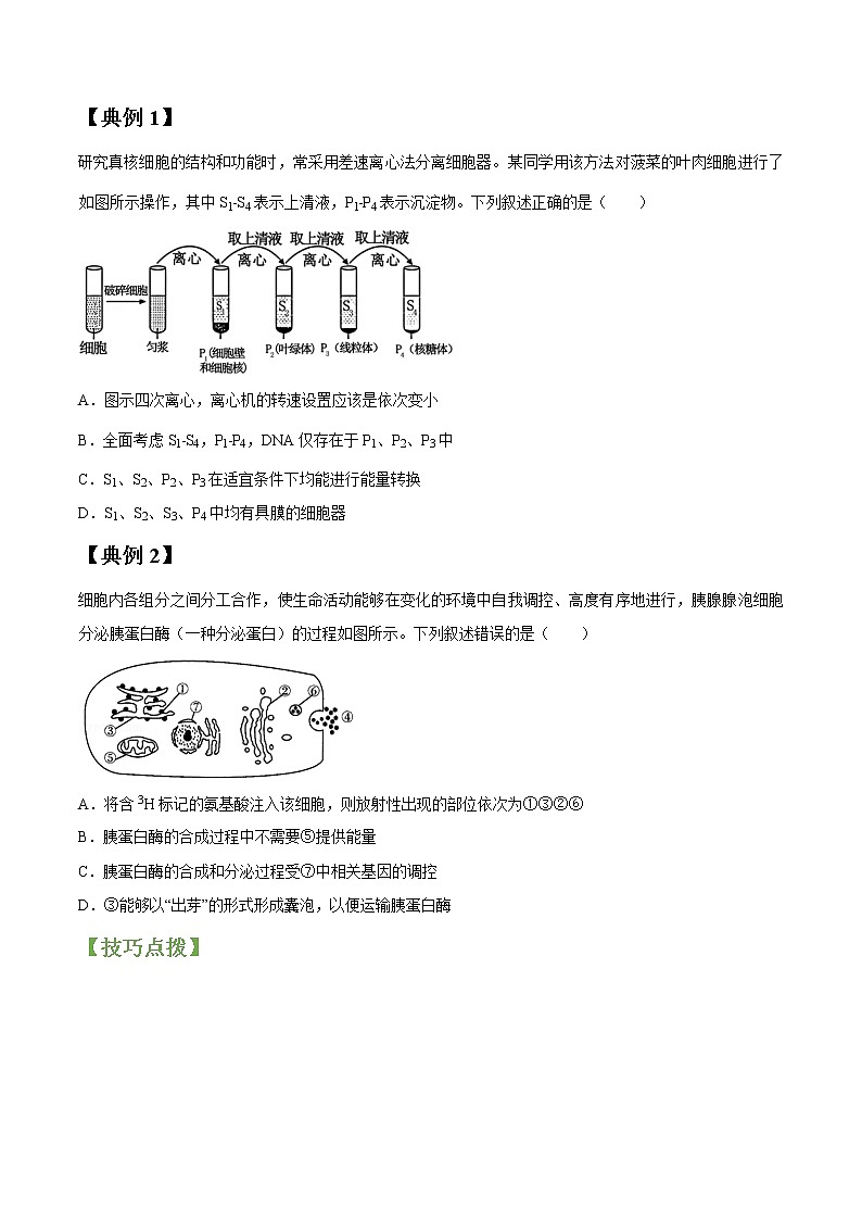 专题06 细胞器（学生版）第2页