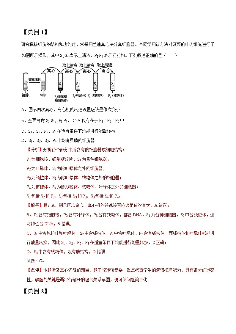 专题06 细胞器（教师版）第2页