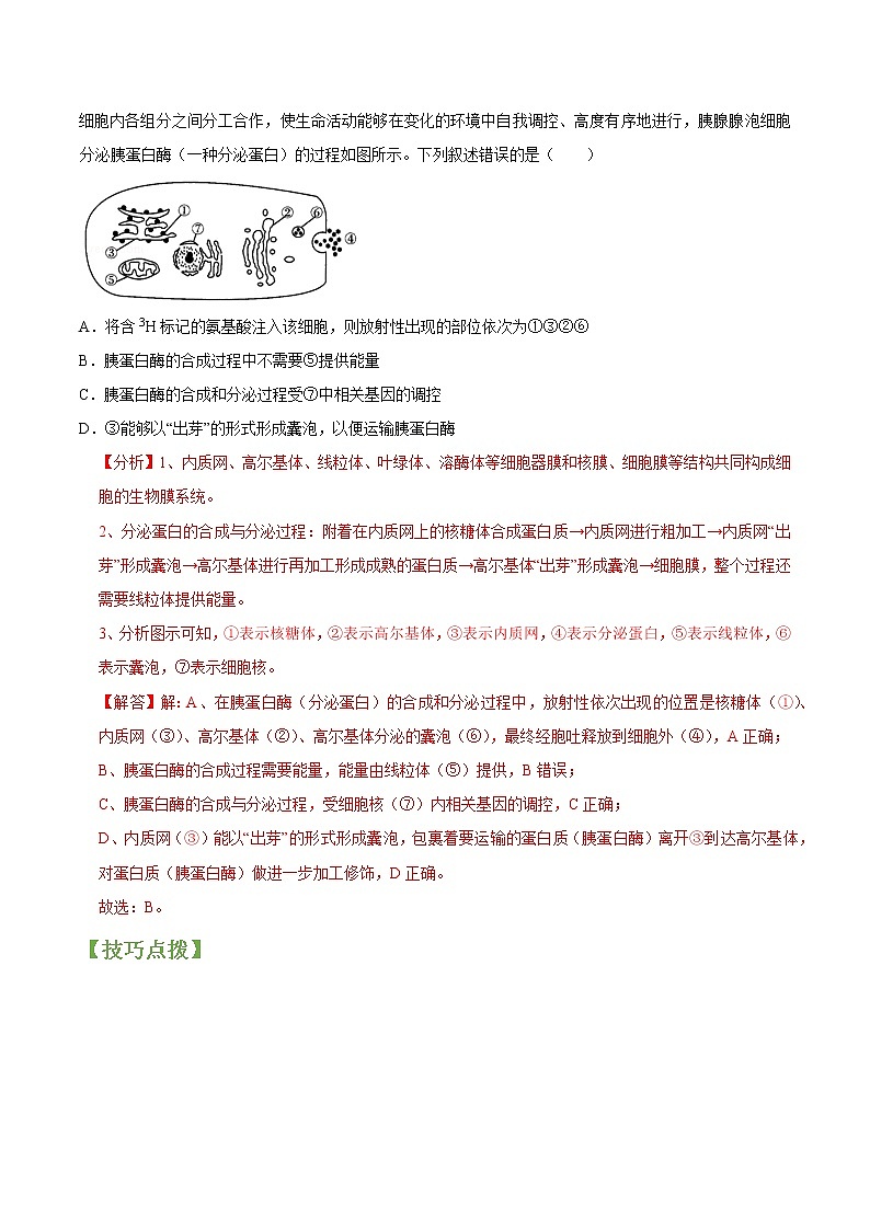 专题06 细胞器（教师版）第3页