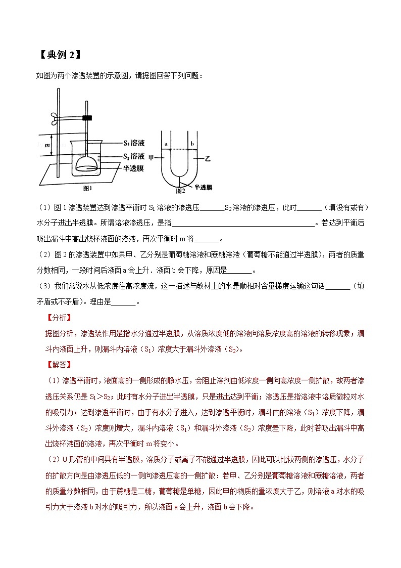 专题07 物质跨膜运输实例（教师版）第3页