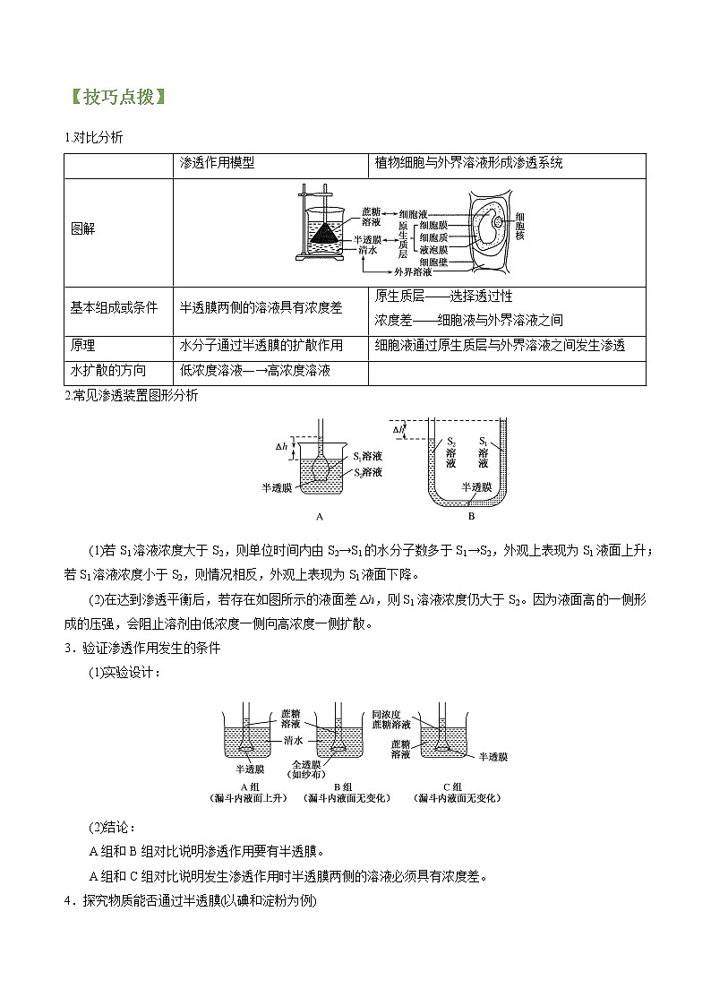 专题07 物质跨膜运输实例（学生版）第3页