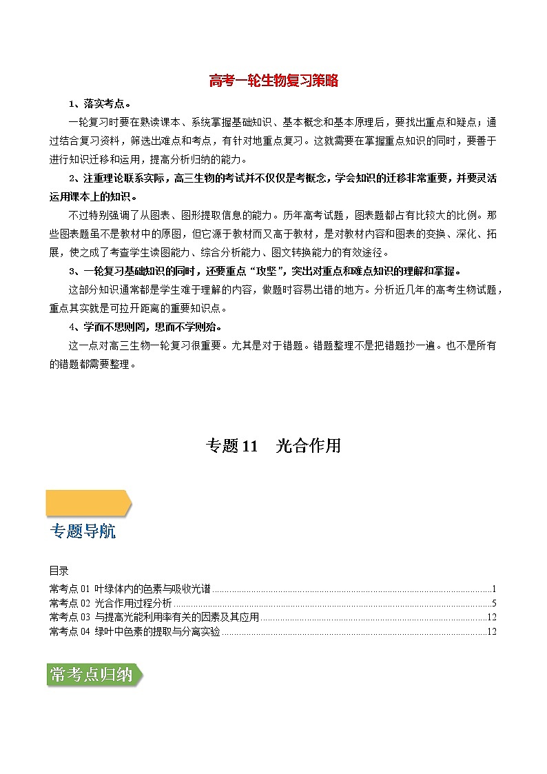 专题11 光合作用（教师版）第1页