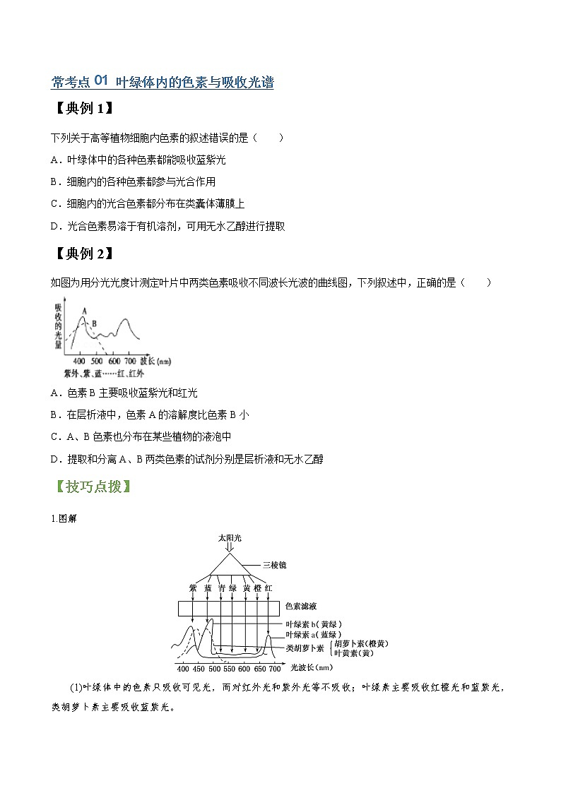 专题11 光合作用（学生版）第2页