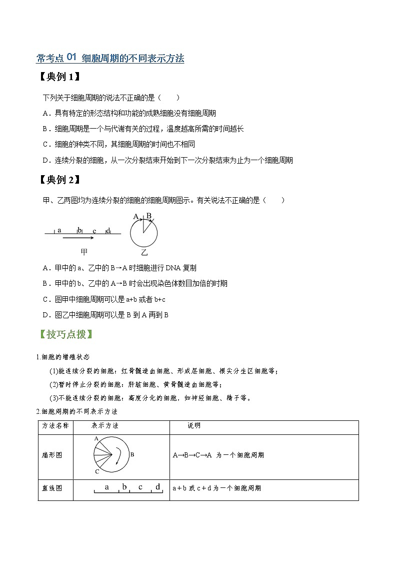 高考生物一轮复习【讲通练透】 专题12 细胞的增殖02