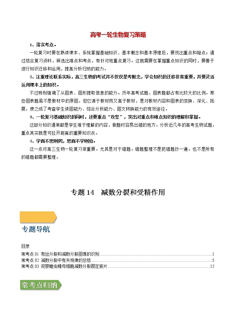 专题14 减数分裂和受精作用（教师版）第1页
