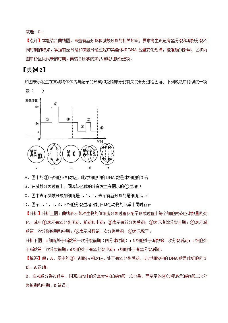专题14 减数分裂和受精作用（教师版）第3页