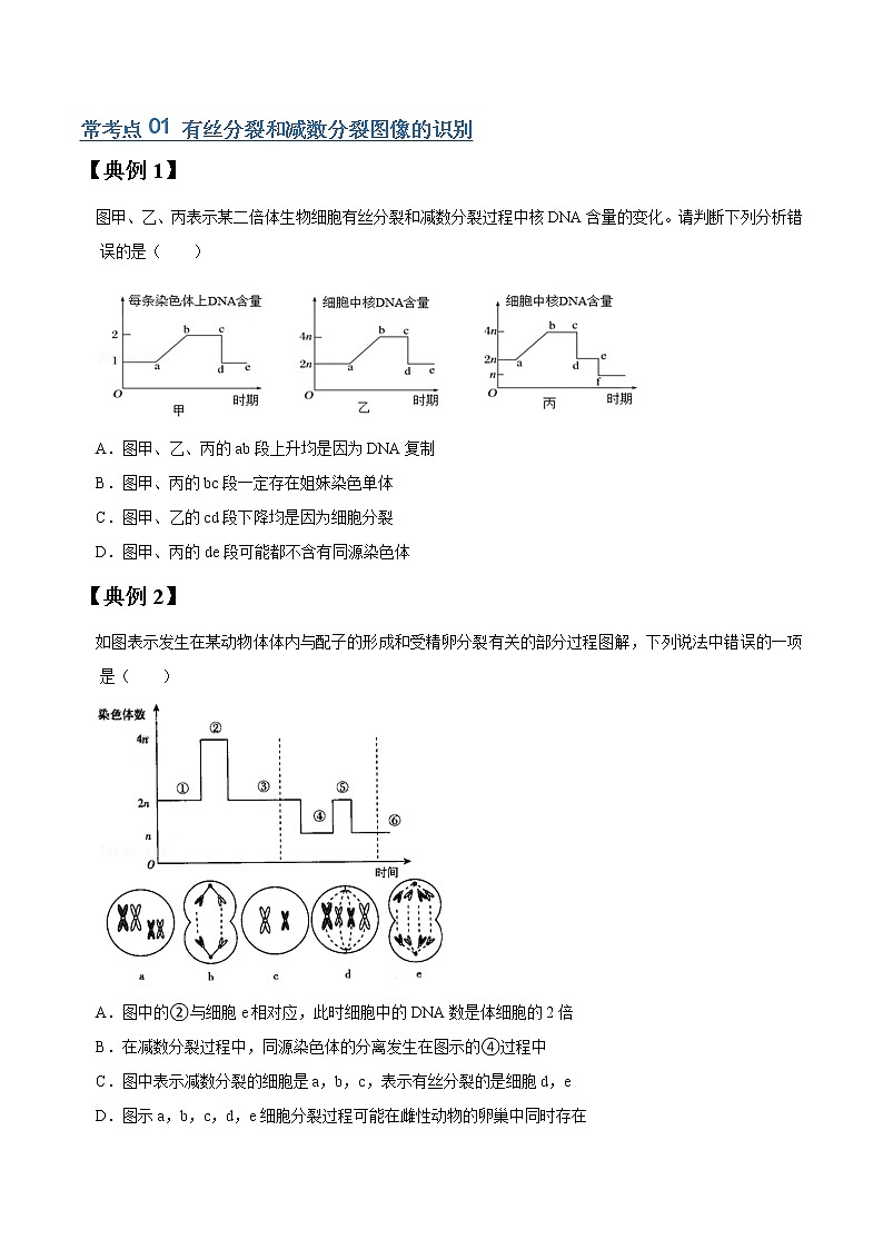 专题14 减数分裂和受精作用（学生版）第2页