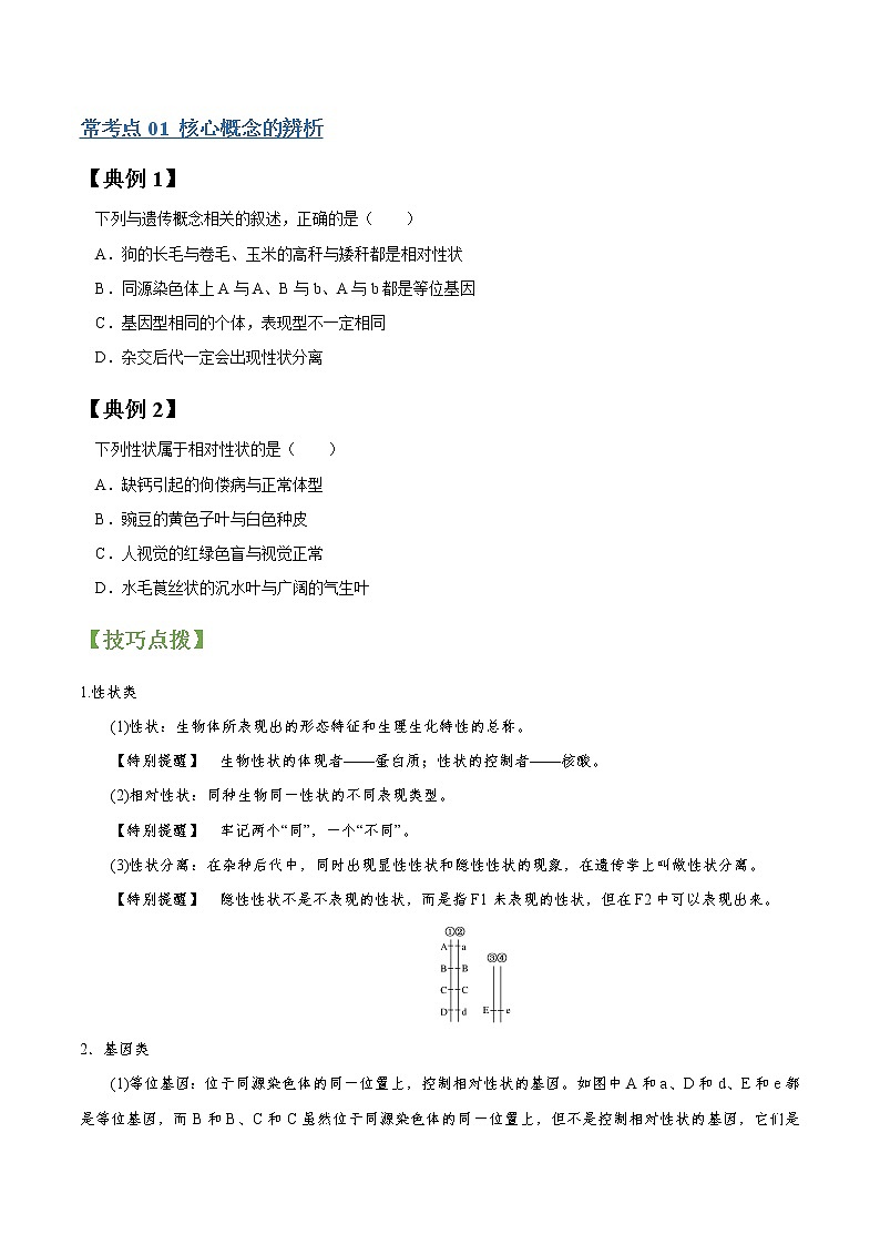 高考生物一轮复习【讲通练透】 专题15 孟德尔豌豆杂交实验一02