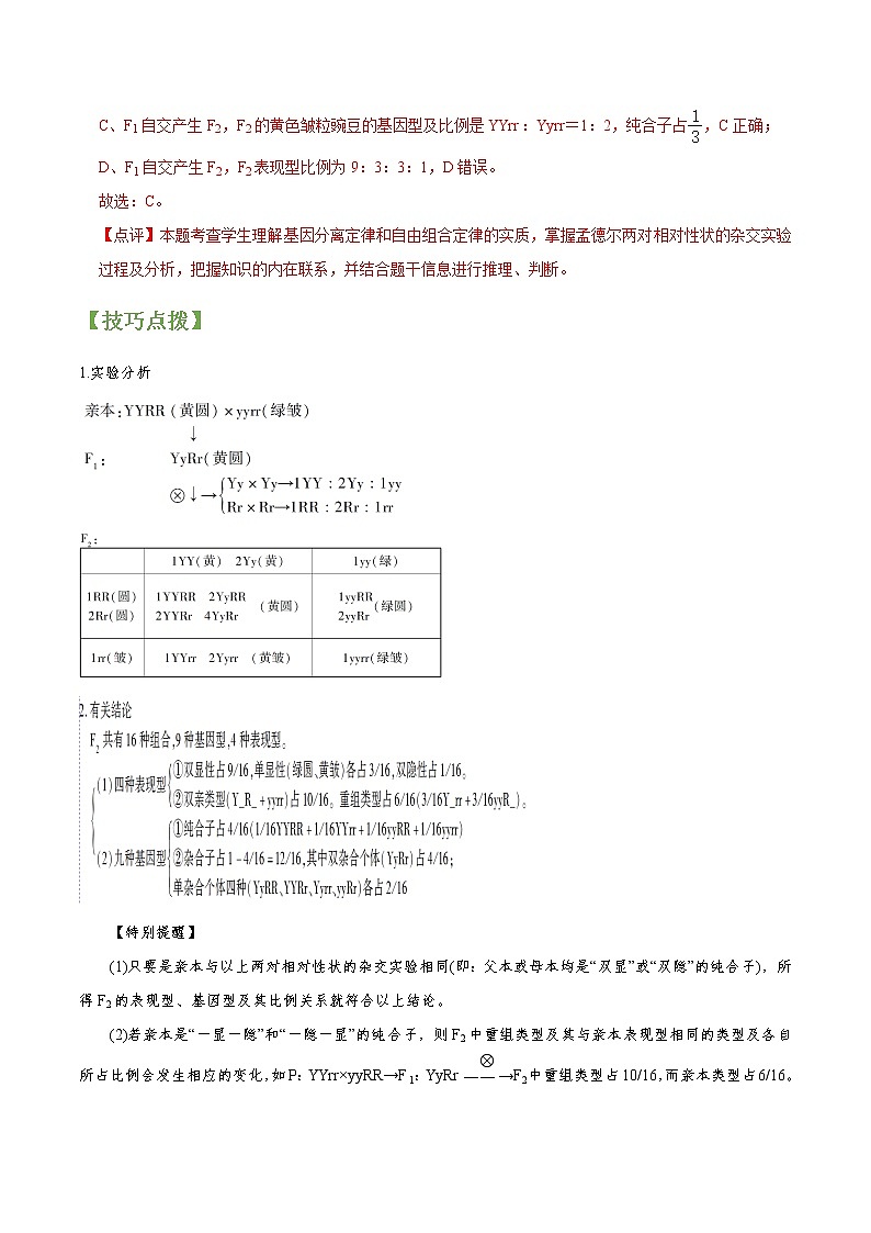专题16 孟德尔豌豆杂交实验二（教师版）第3页