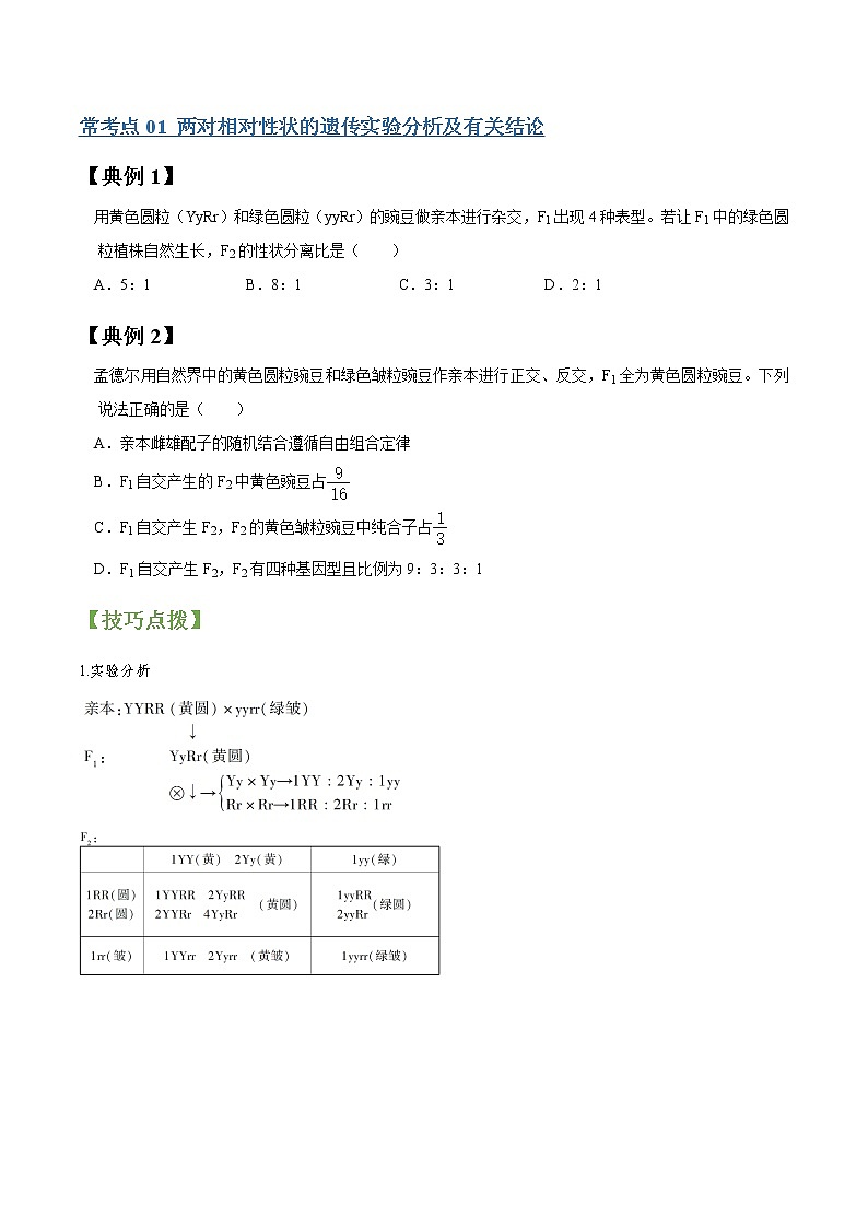 专题16 孟德尔豌豆杂交实验二（学生版）第2页