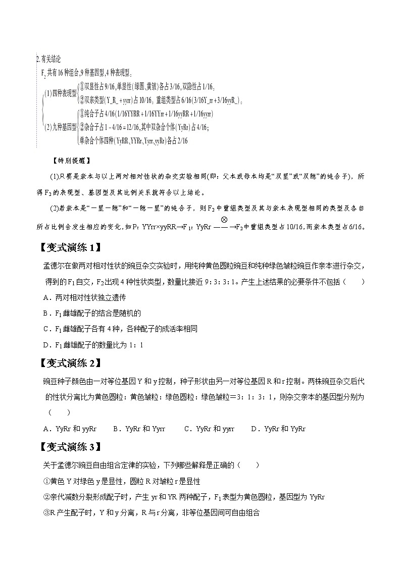 专题16 孟德尔豌豆杂交实验二（学生版）第3页