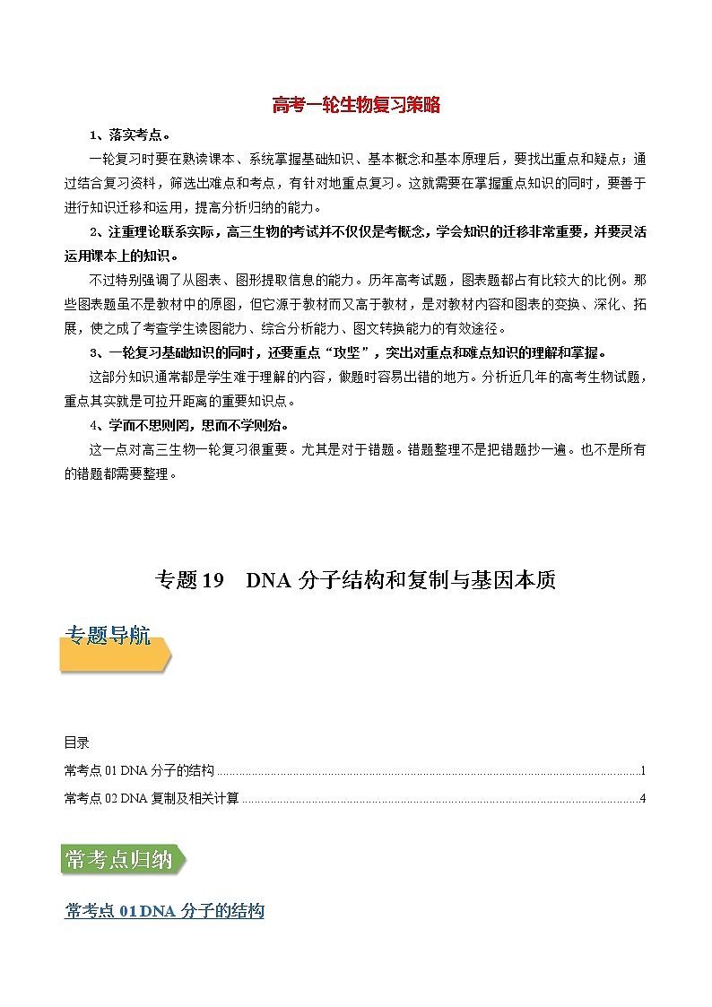 专题19 DNA分子结构和复制与基因本质（学生版）第1页