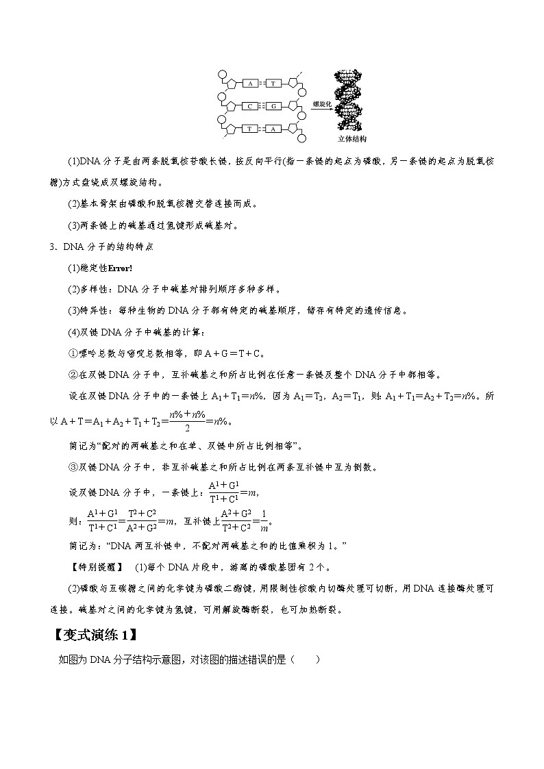 专题19 DNA分子结构和复制与基因本质（学生版）第3页