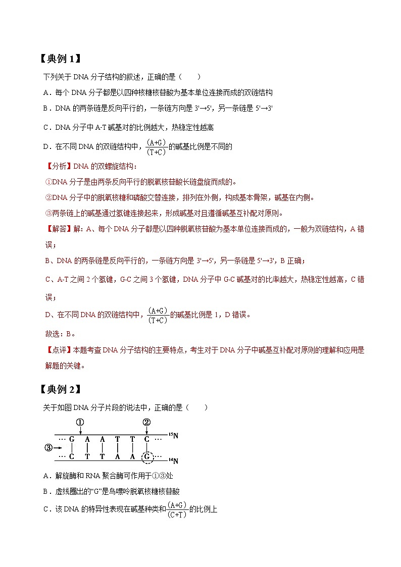专题19 DNA分子结构和复制与基因本质（教师版）第2页