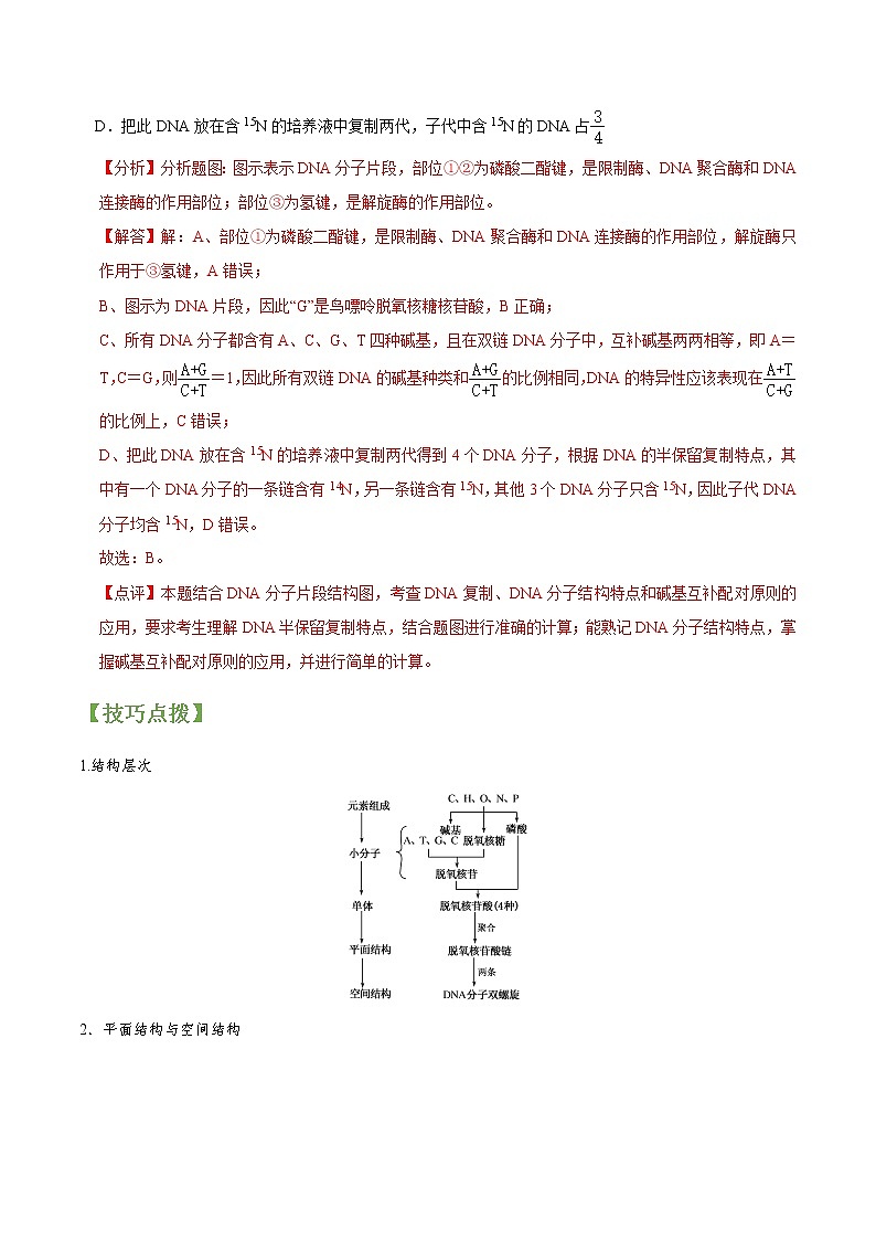 专题19 DNA分子结构和复制与基因本质（教师版）第3页