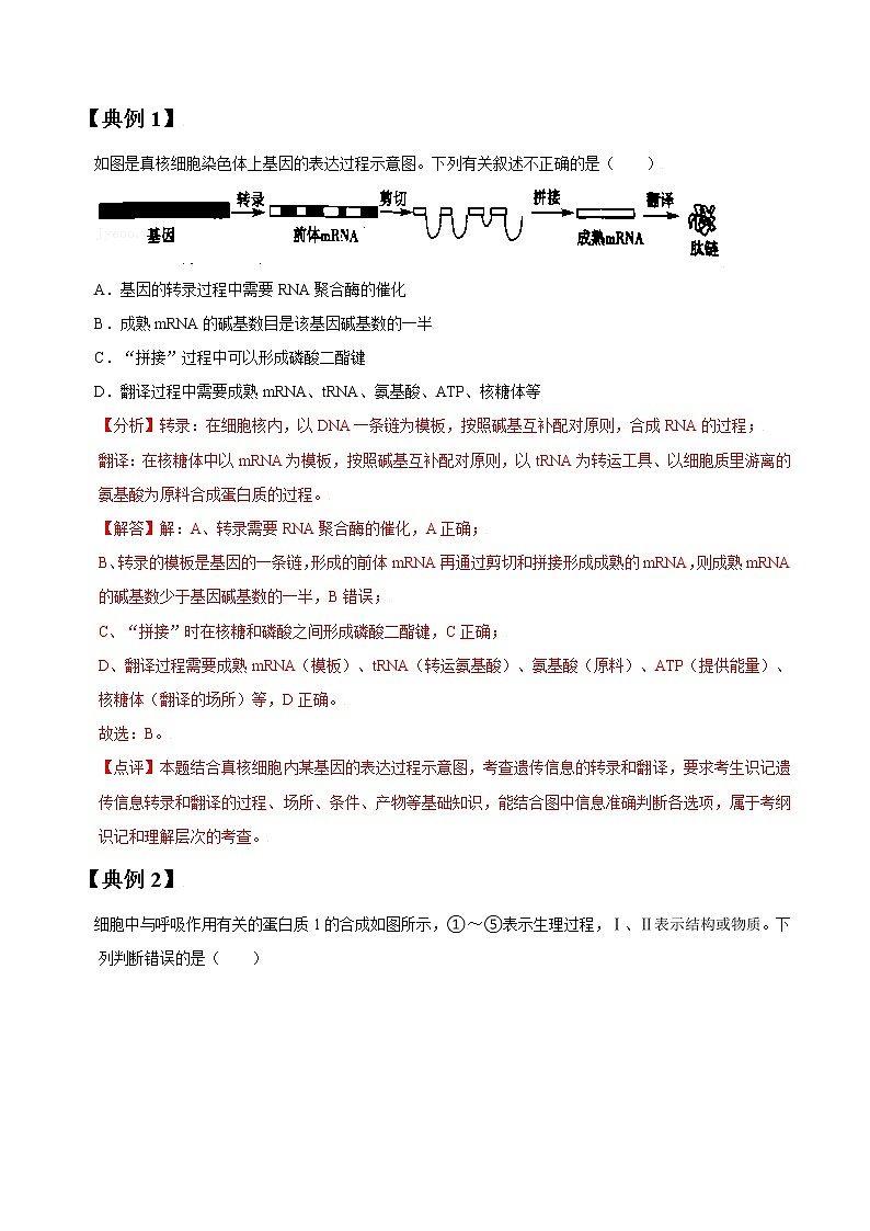 专题20 基因指导蛋白质合成与基因对性状控制（教师版）第2页