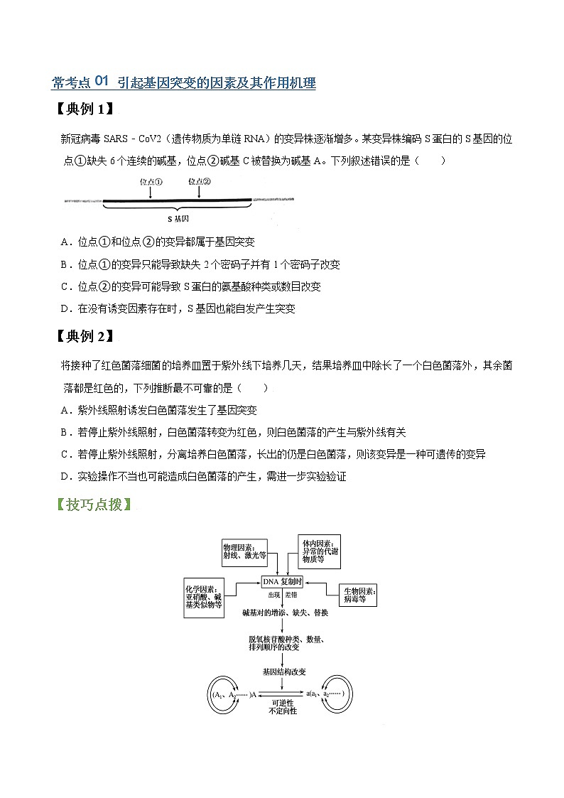专题21 生物变异（学生版）第2页