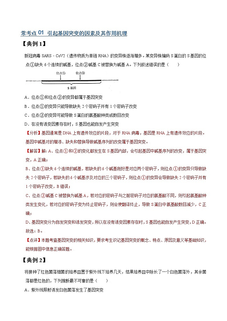 专题21 生物变异（教师版）第2页