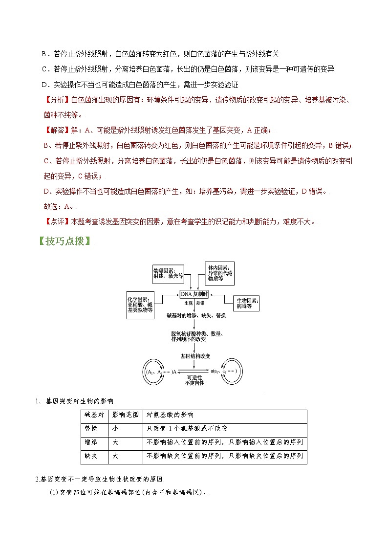 专题21 生物变异（教师版）第3页