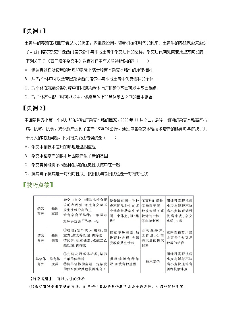 专题23 从杂交育种到基因工程（学生版）第2页