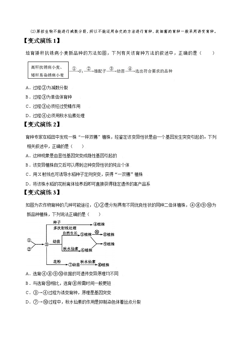 专题23 从杂交育种到基因工程（学生版）第3页
