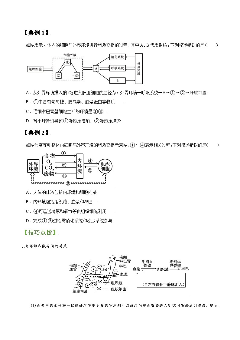 专题25 人体内环境与稳态（学生版）第2页