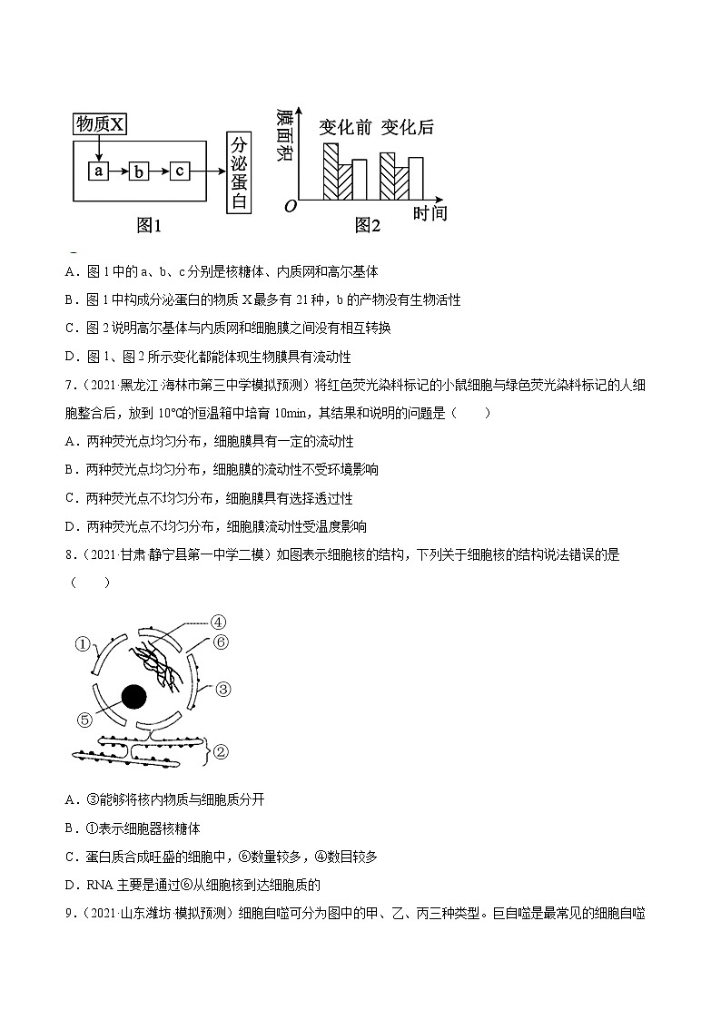 02 细胞的结构与功能（分层训练）（学生版）第3页