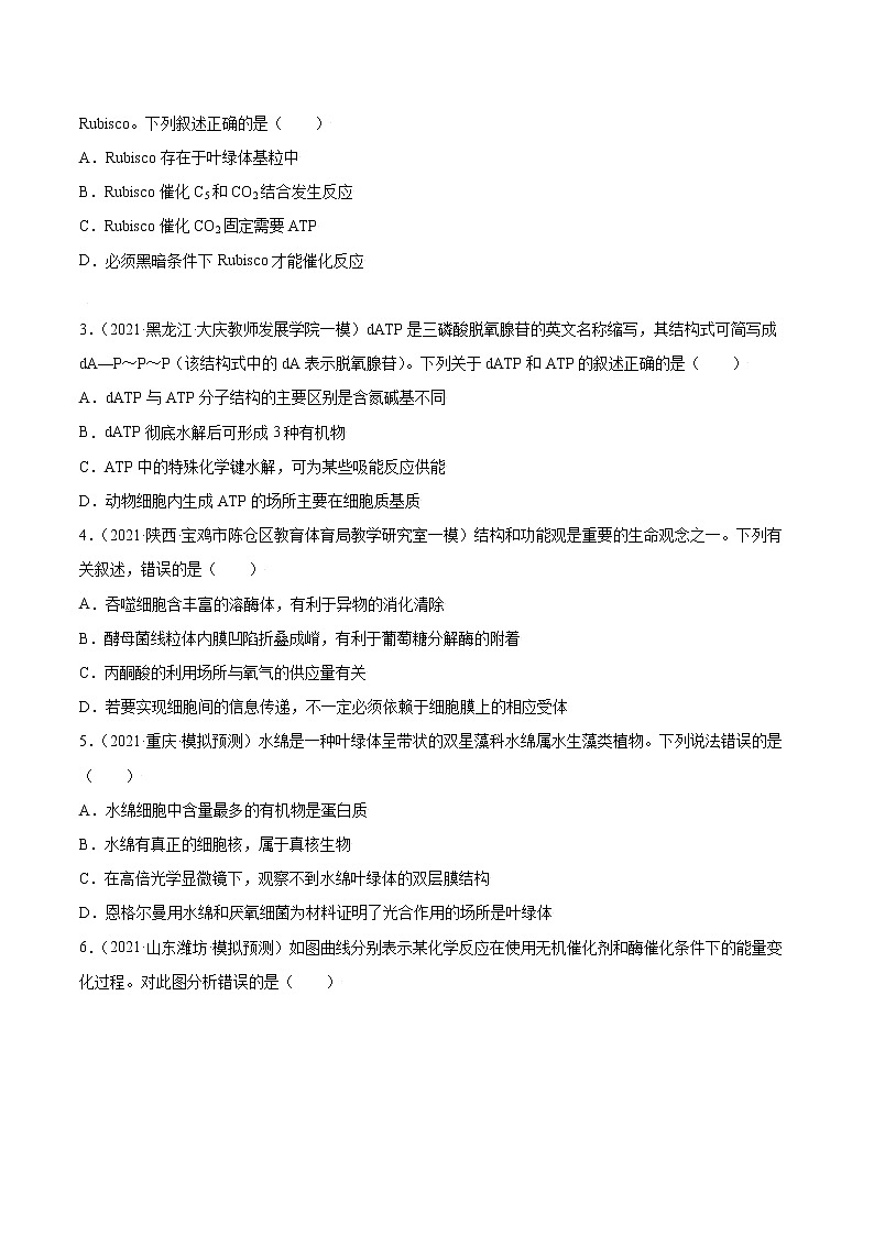 高考生物二轮复习【讲通练透】 专题03  细胞的能量供应和利用02