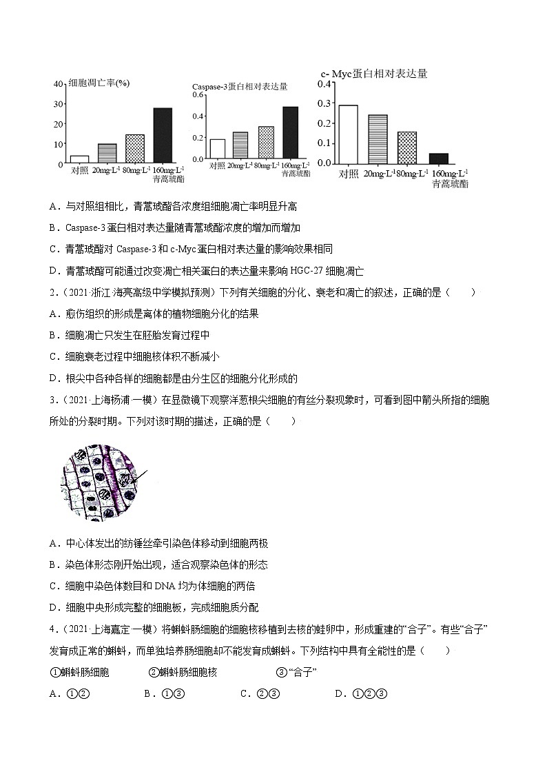 04 细胞的生命历程（分层训练)（学生版）第2页