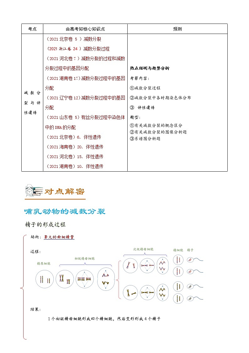 高考生物二轮复习【讲通练透】 专题06  遗传的细胞学基础02