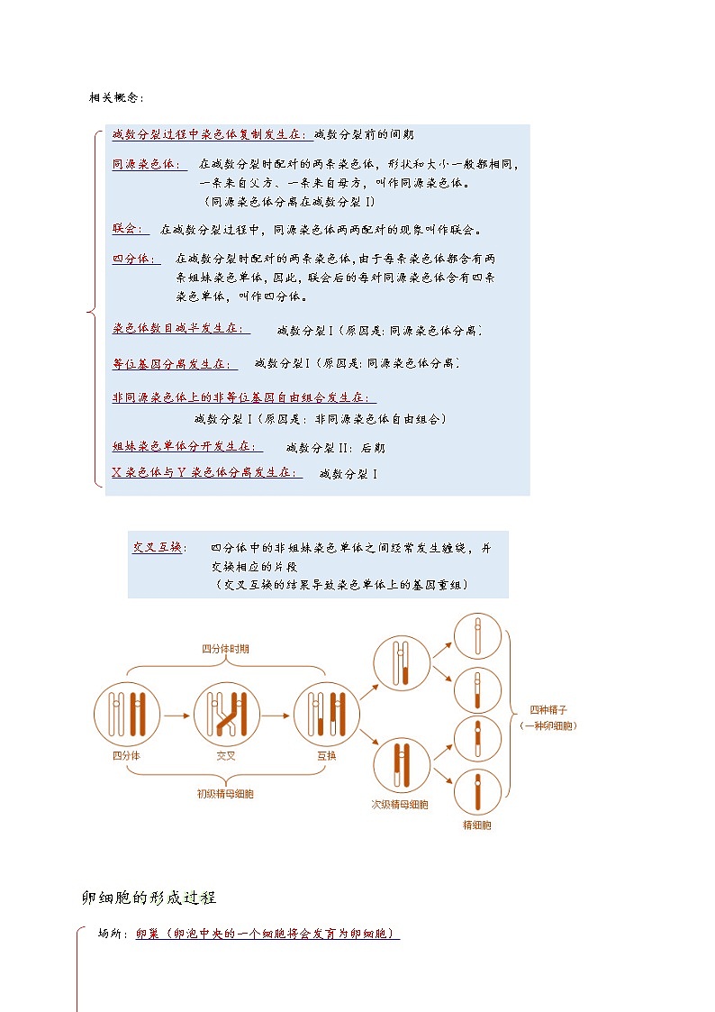 高考生物二轮复习【讲通练透】 专题06  遗传的细胞学基础03