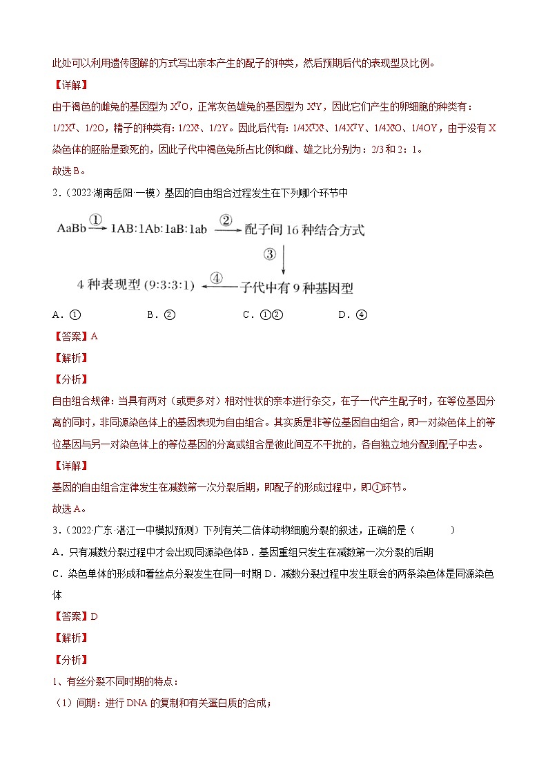 高考生物二轮复习【讲通练透】 专题06  遗传的细胞学基础02
