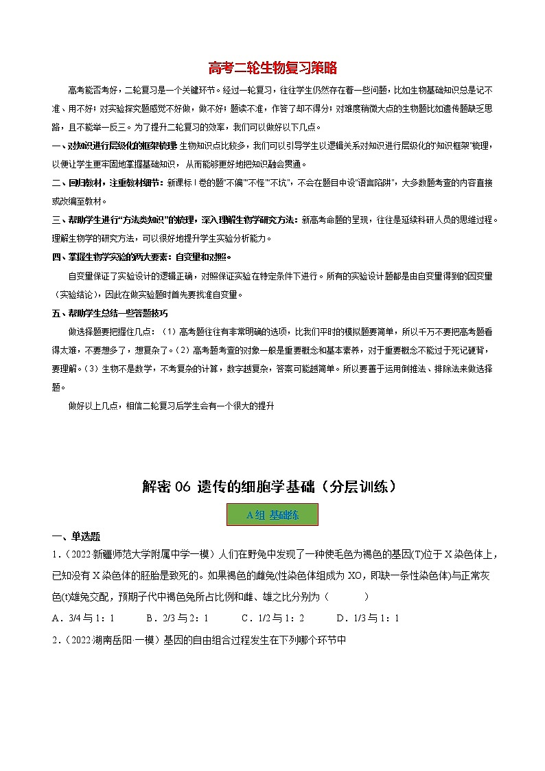 高考生物二轮复习【讲通练透】 专题06  遗传的细胞学基础01