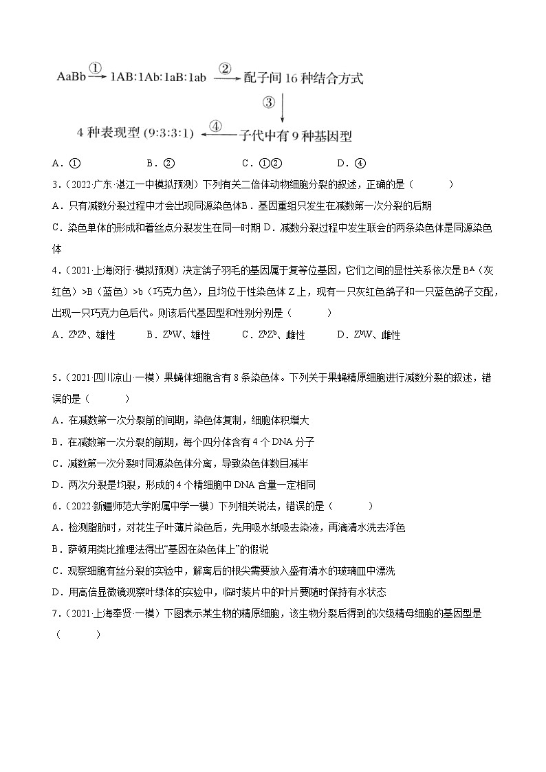 高考生物二轮复习【讲通练透】 专题06  遗传的细胞学基础02