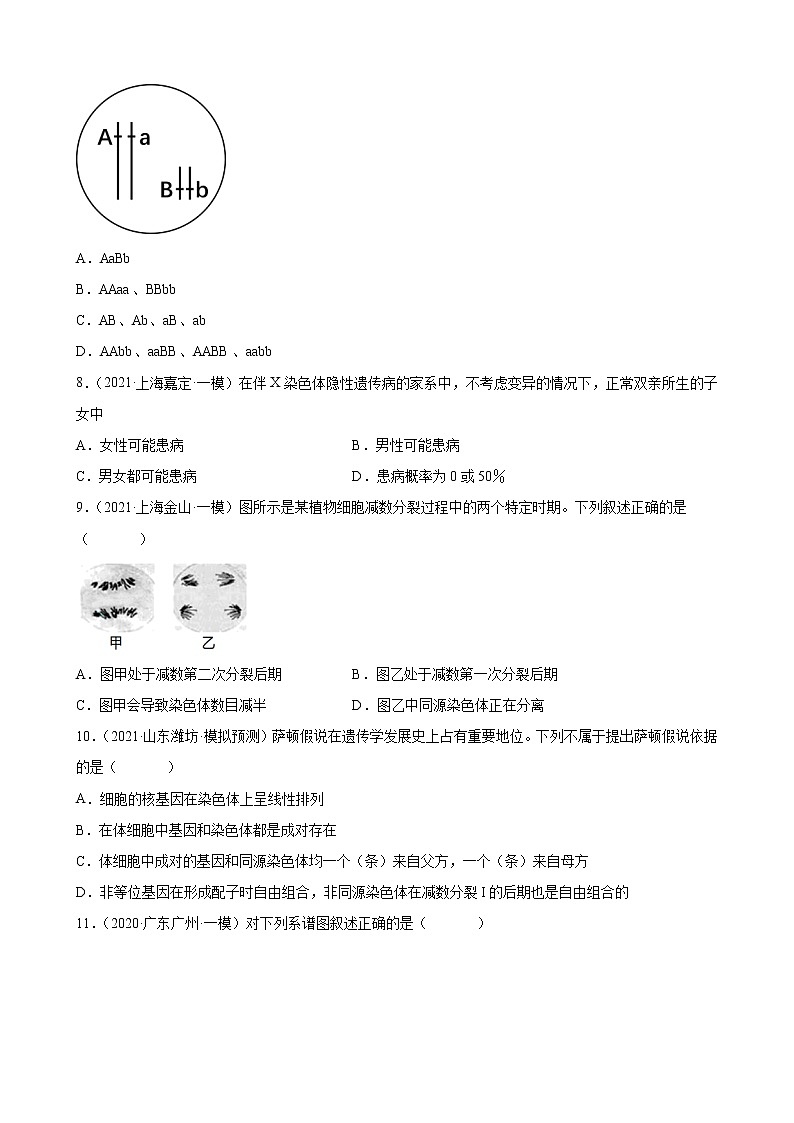 高考生物二轮复习【讲通练透】 专题06  遗传的细胞学基础03