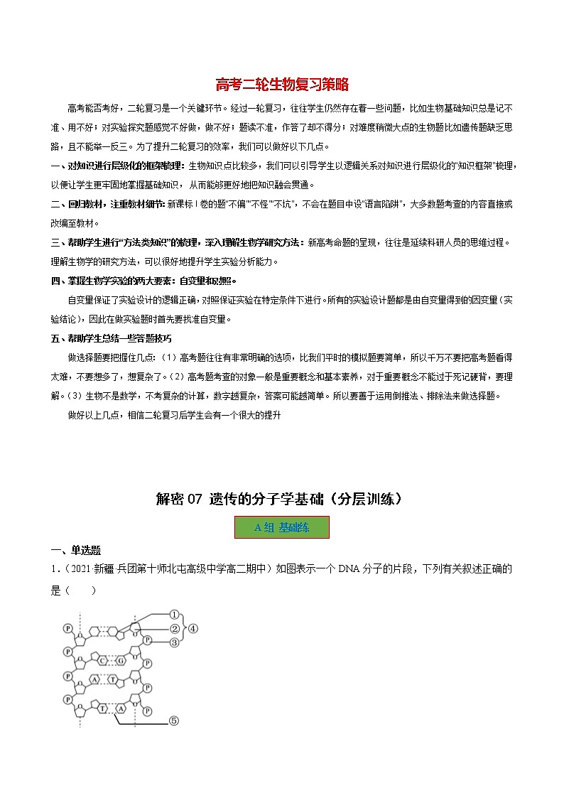 07 遗传的分子学基础（分层训练）（教师版）第1页