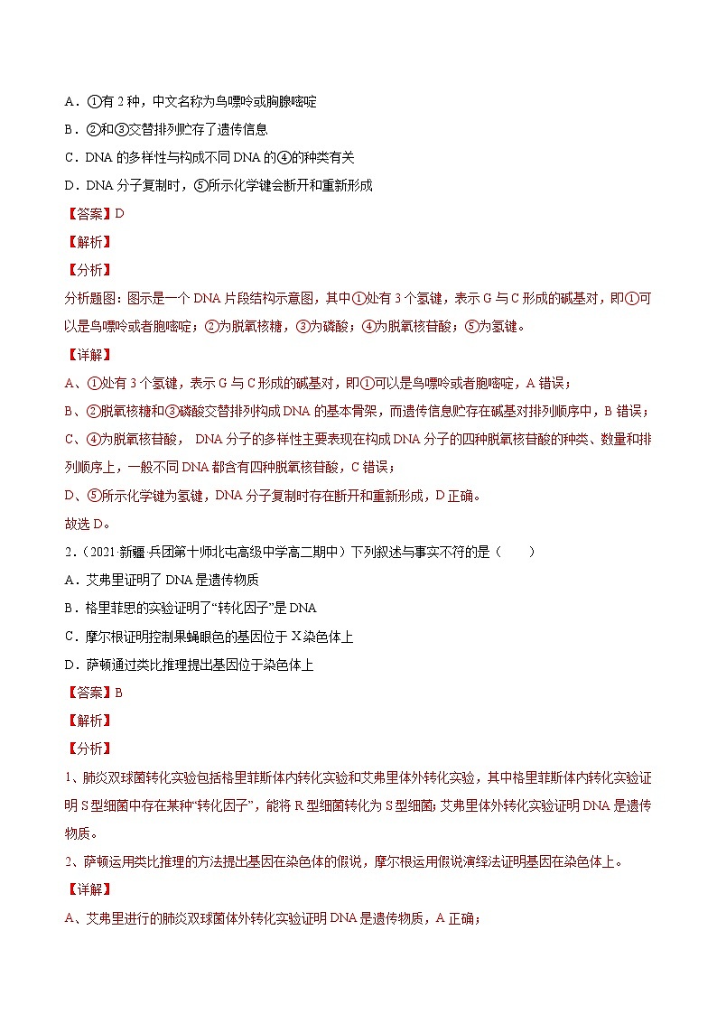 07 遗传的分子学基础（分层训练）（教师版）第2页